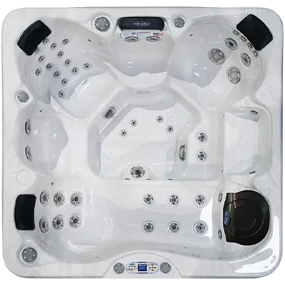 Avalon EC-849L hot tubs for sale in Manteca